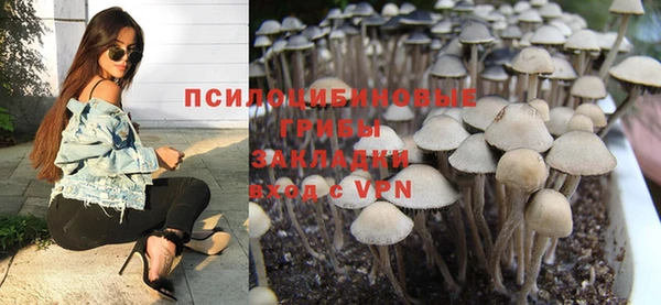 apvp Алексин