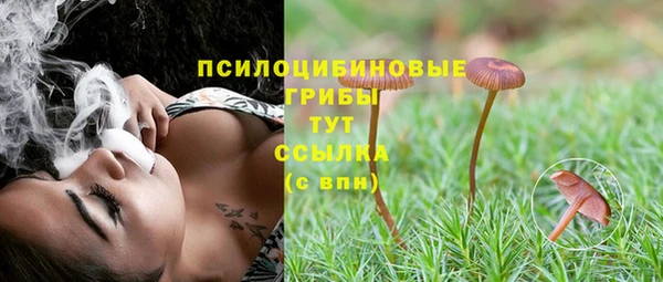 твердый Алзамай