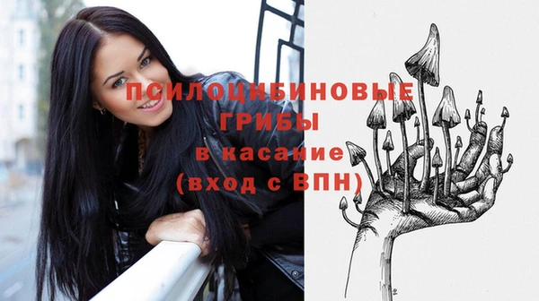 apvp Алексин