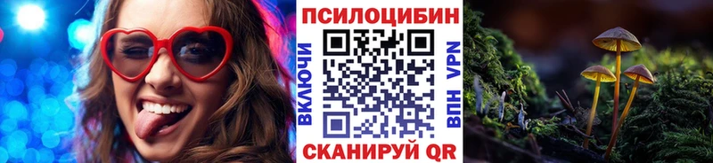 купить  цена  Алексеевка  Псилоцибиновые грибы Psilocybe 